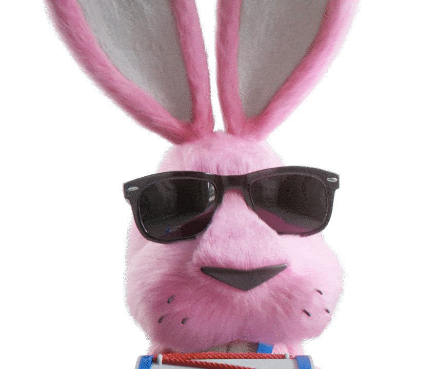 Bunny animation